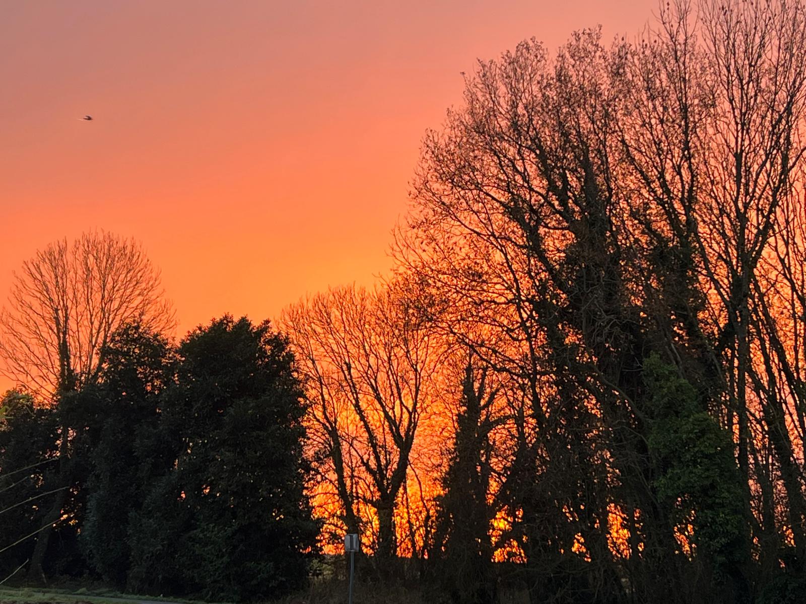 Retour sur le mandat